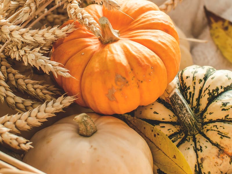 Pumpkins in a wicker basket at the produce hall